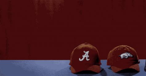 sec gif|Sec GIFs .